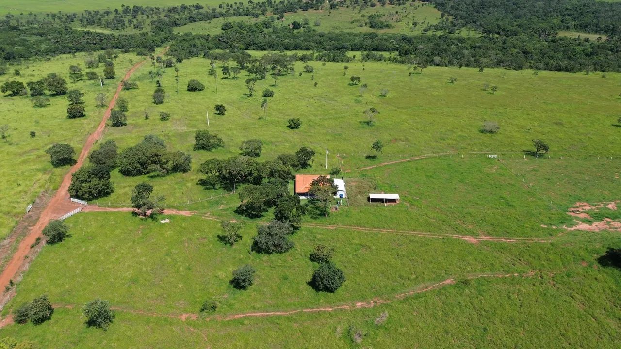 FAZENDA CAMPINA VERDE MG  - Foto 4
