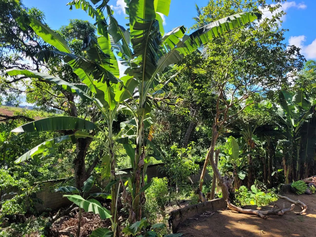 Vendo ou troco terreno area rural.  - Foto 3