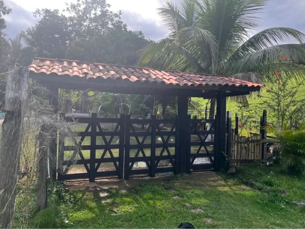 Vende - se sítio na Palmeira dos Góes - Itagi  - Foto 2