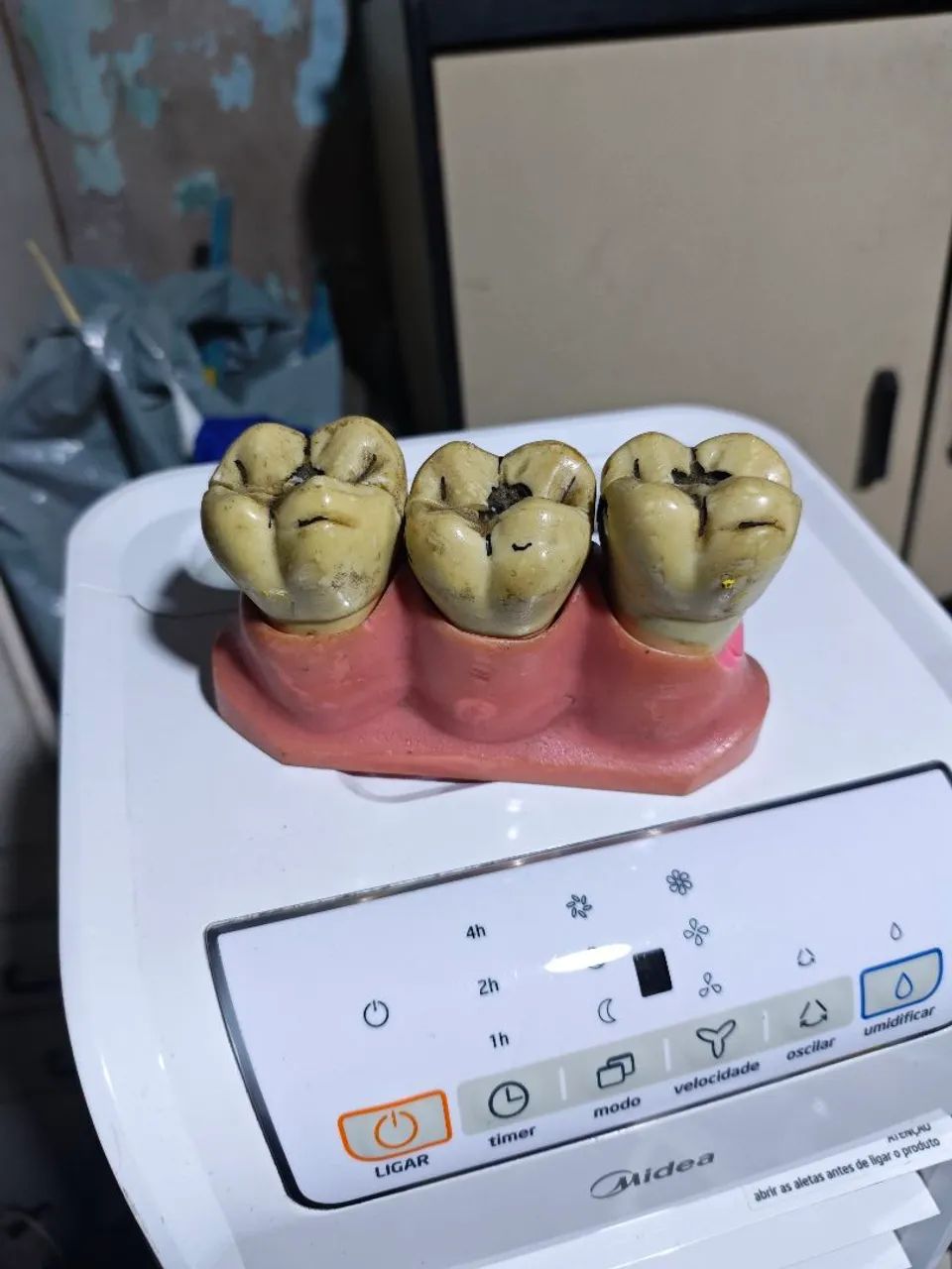 modelo odontologico - Foto 5