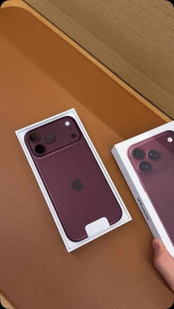 18 pro Max bordo 