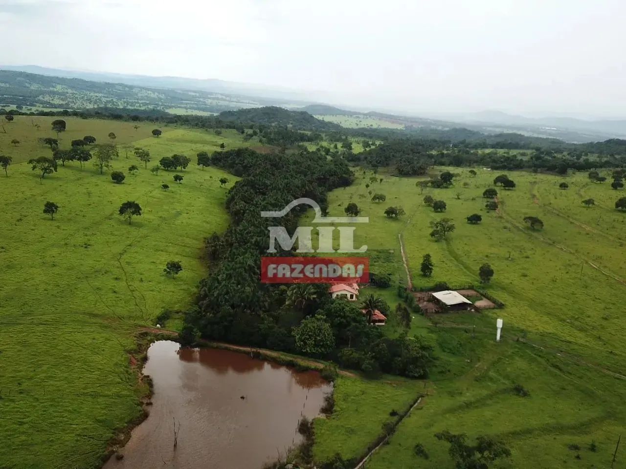 Fazenda 67 alqueires (324 hectares) Rianápolis - Go - Foto 2