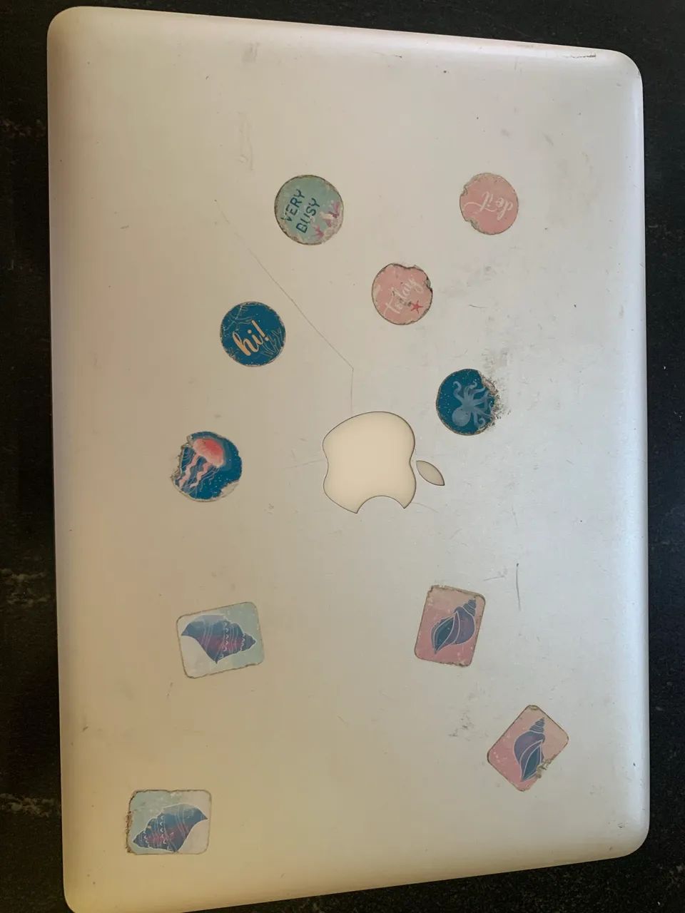 MacBook Pro 13? A1278 