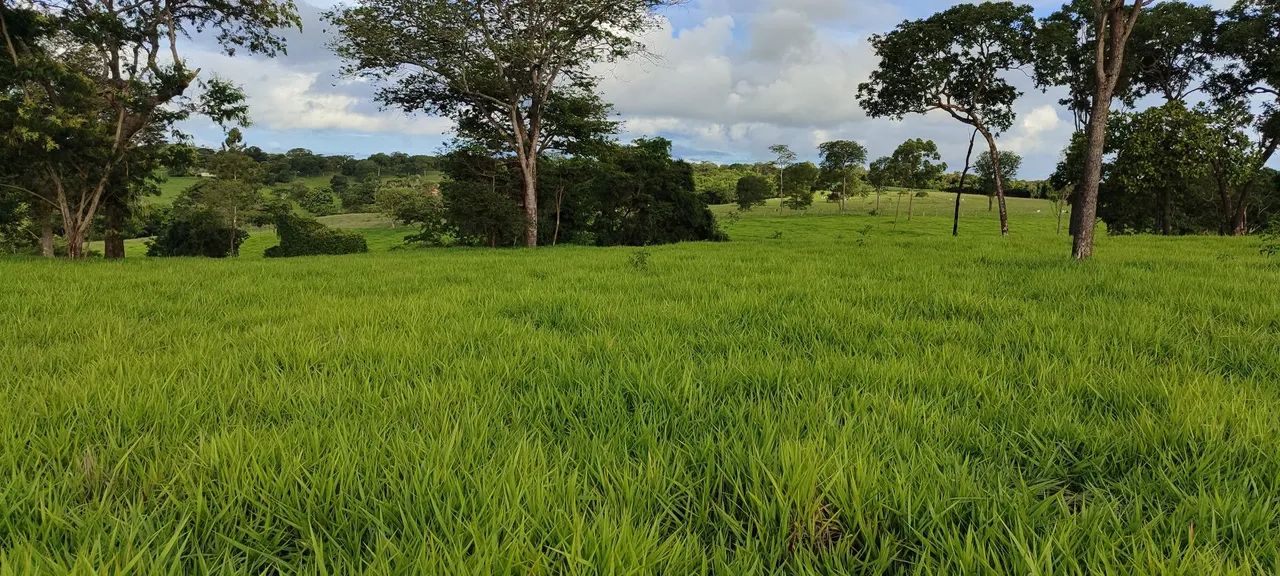 Chácara em Bela VISTA  - Foto 2