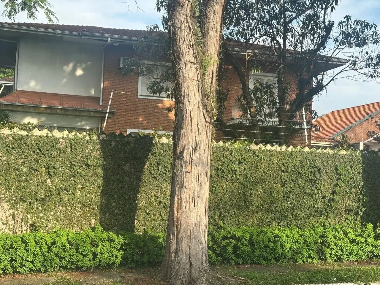 Terreno em São Paulo - Foto 5