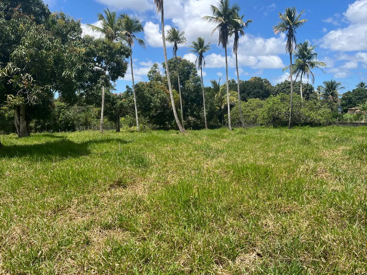 Terreno em Rita Cacete med. 10 x 45 ótima oportunidade! - Foto 4