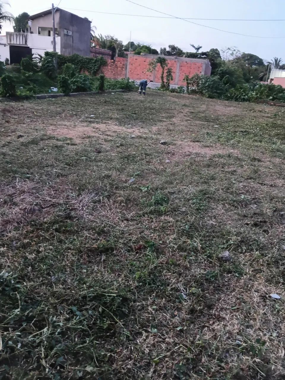 Letícia  - Foto 3