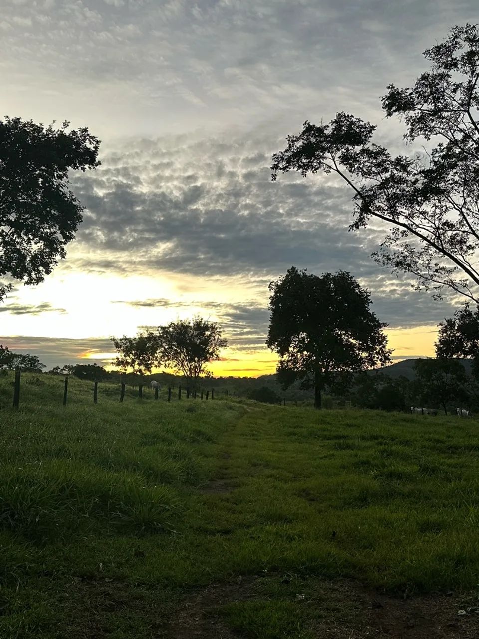 Fazenda em Barrolandia  - Foto 4
