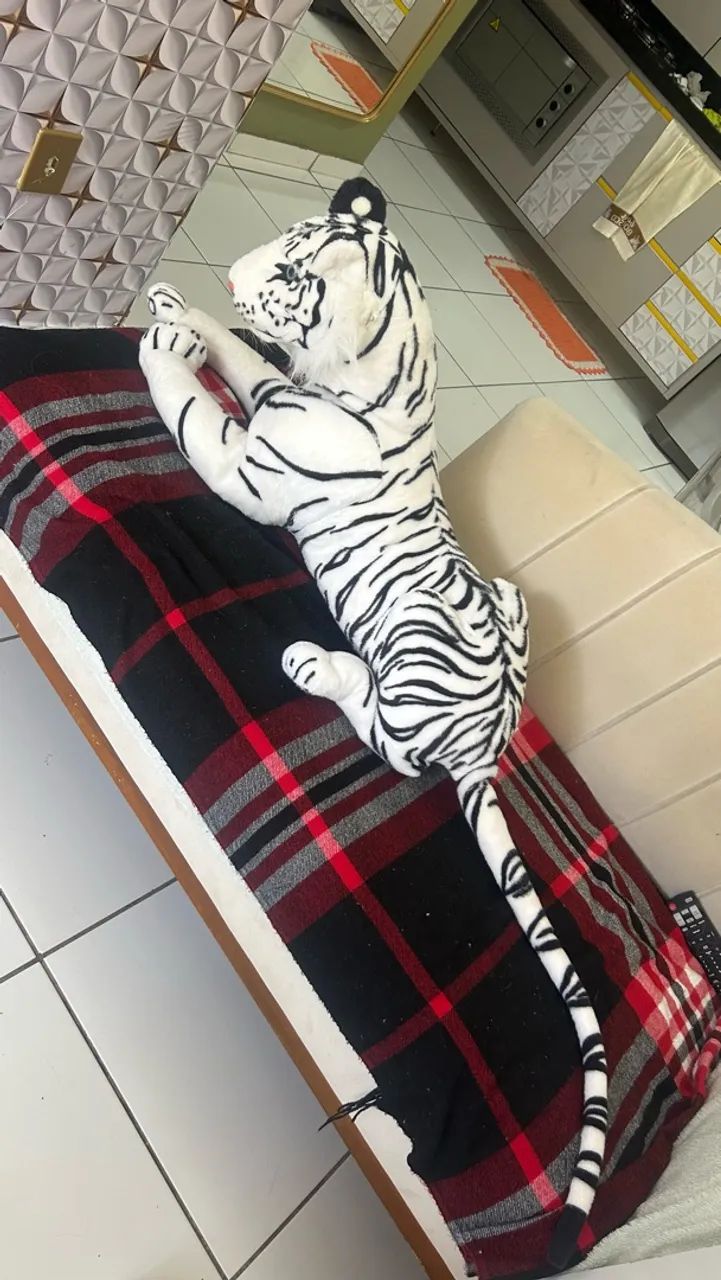 Tigre - Foto 3