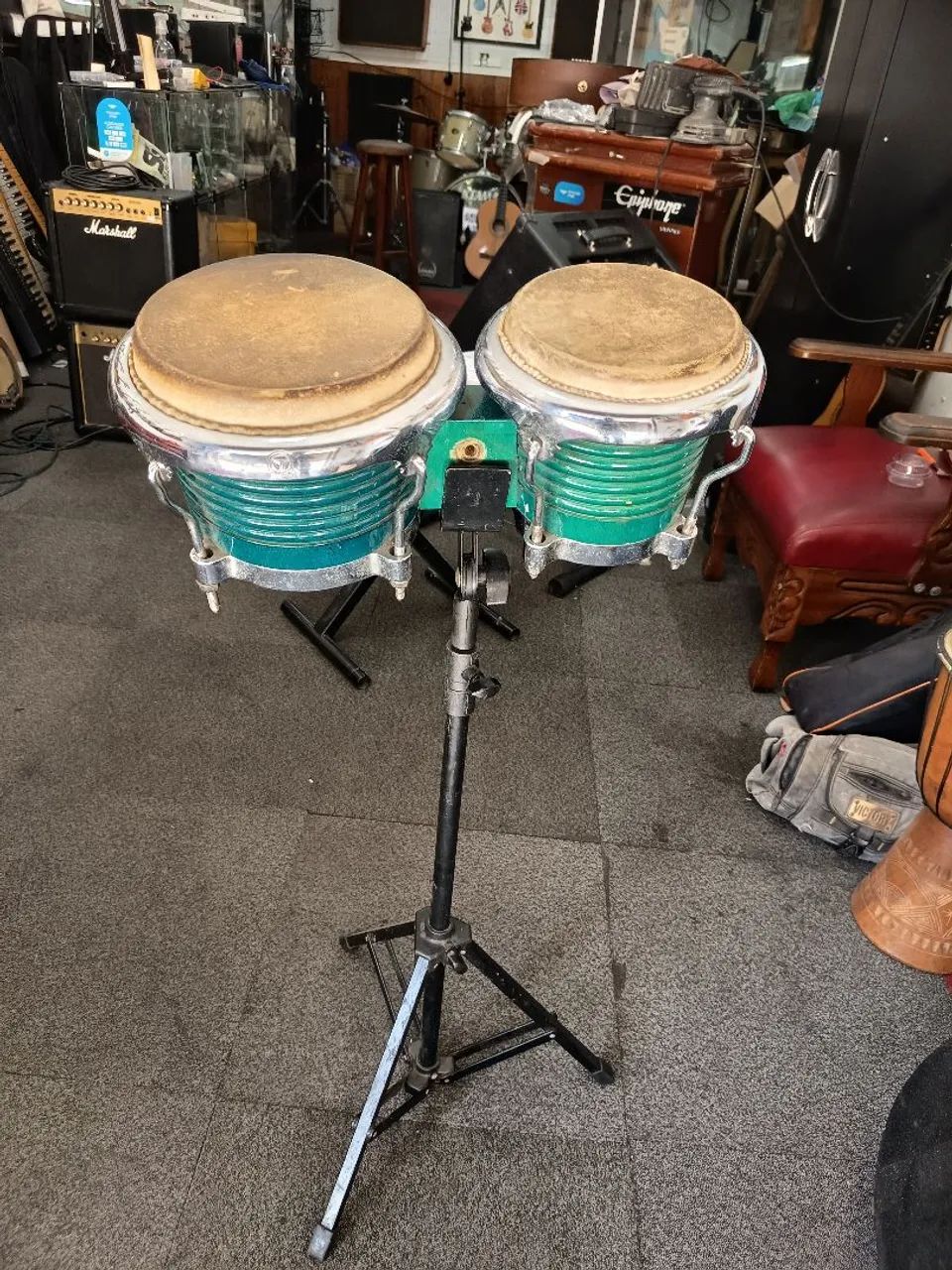 Bongo Bauer 