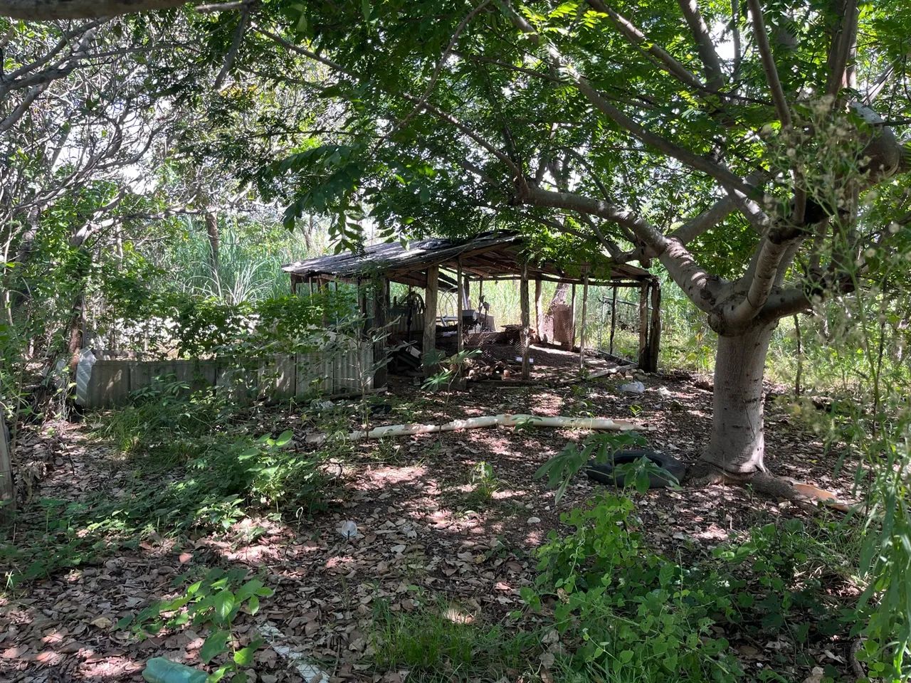 Sítio próximo sadia 3 - Foto 3
