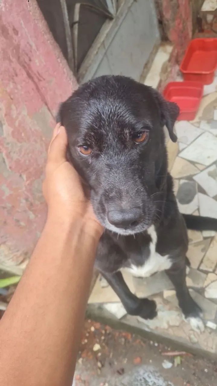 Doação - Foto 3