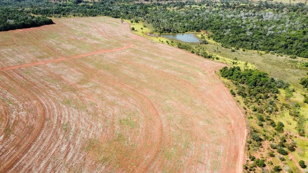 Fazenda com 80% aproveitamento lavoura  - Foto 3