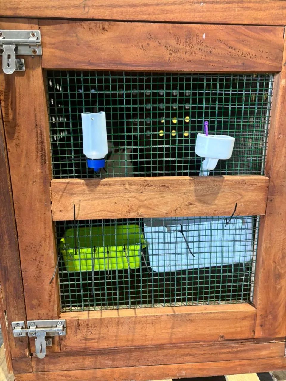 Caixa para transportar cães . - Foto 3