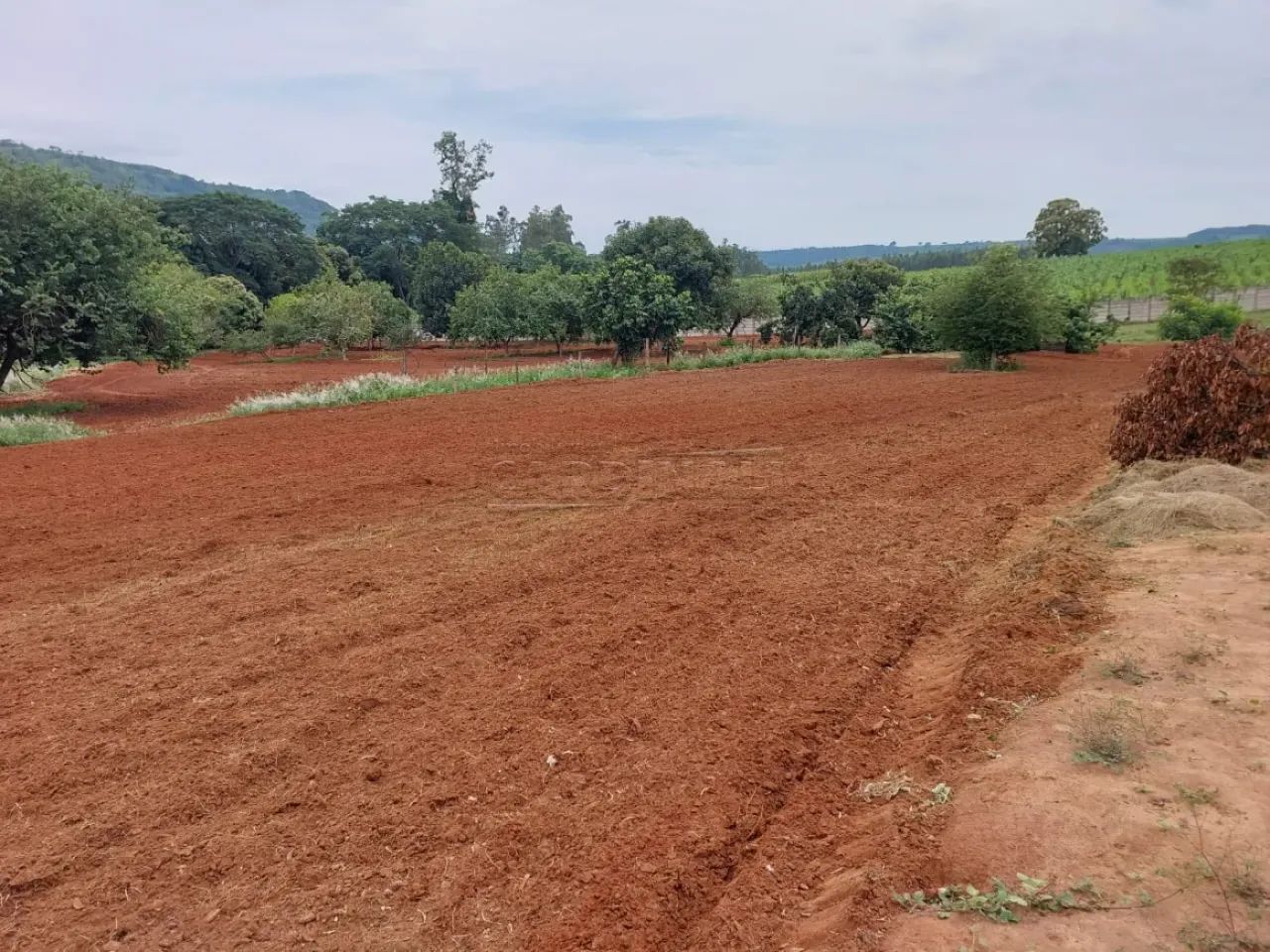 Rural Chácara em Descalvado - Foto 3