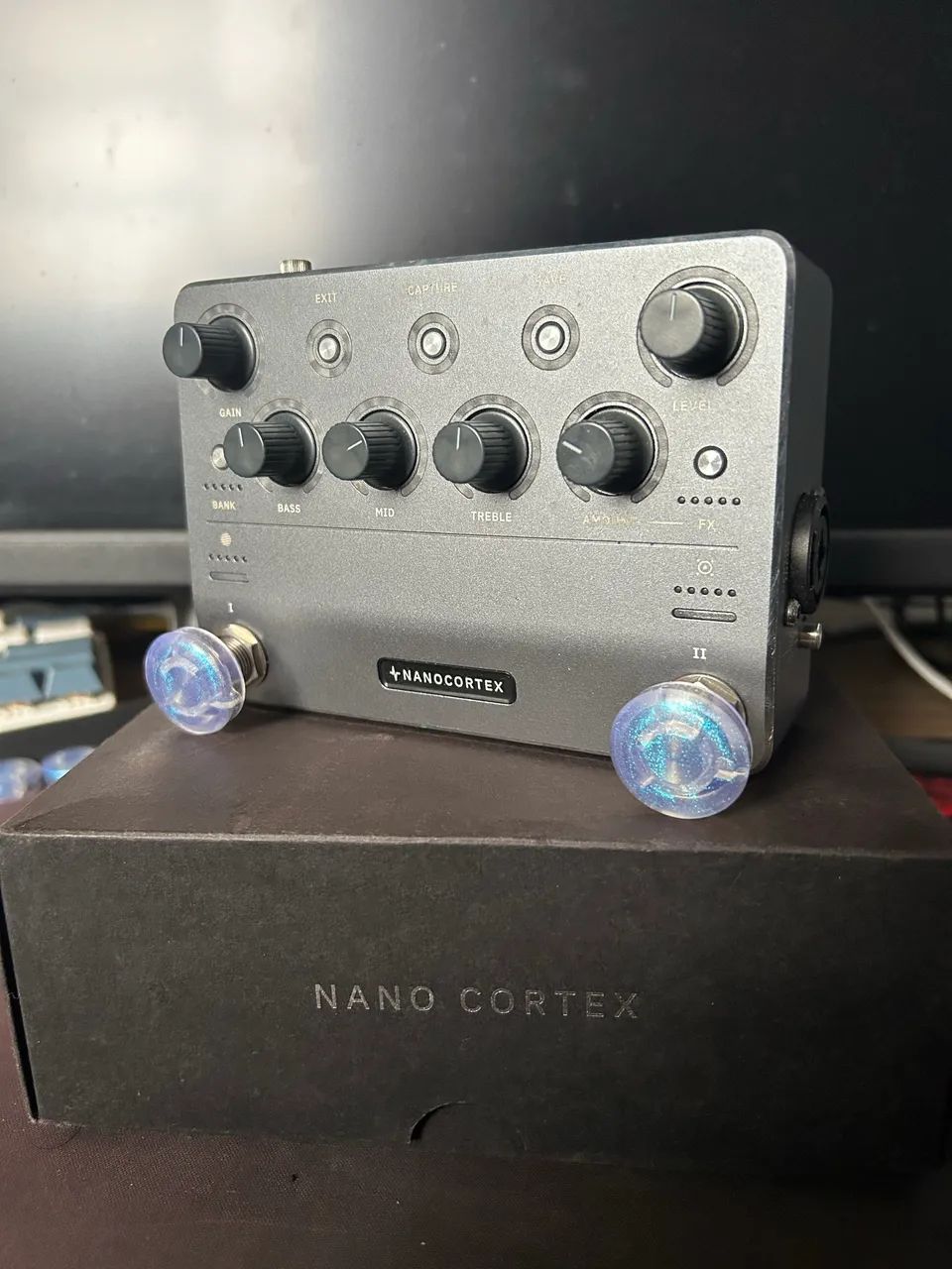 Neural Nano Córtex