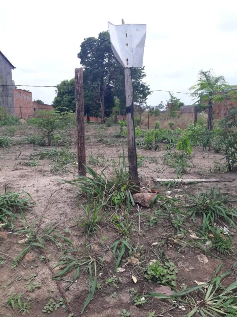 Lote Imperatriz Ma fundo AABB - Foto 4