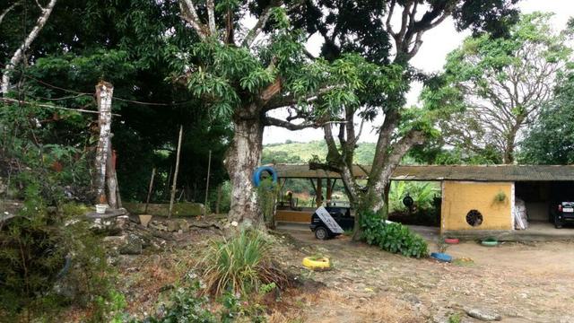 Propriedade de 4.9 hectares, em Vitória de Santo Antão-PE, com casa sede.Aceitam-se trocas - Foto 2