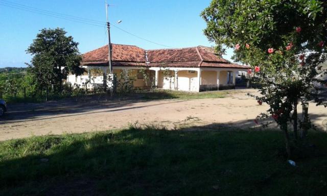 Fazenda para venda em nova viçosa, distrito de argolo - Foto 6