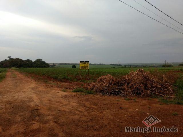 8060 | chácara para alugar em não informado, maringá - Foto 2