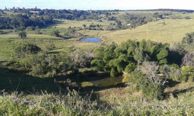 Fazenda para venda em nova viçosa, distrito de argolo - Foto 20