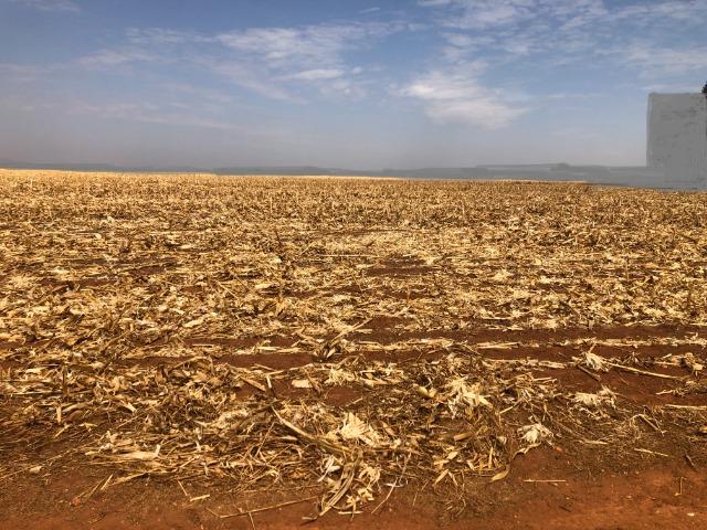 1000 Hectares, argilosa acima 40%, planta soja, algodão, milho, Diamantino-MT - Foto 2