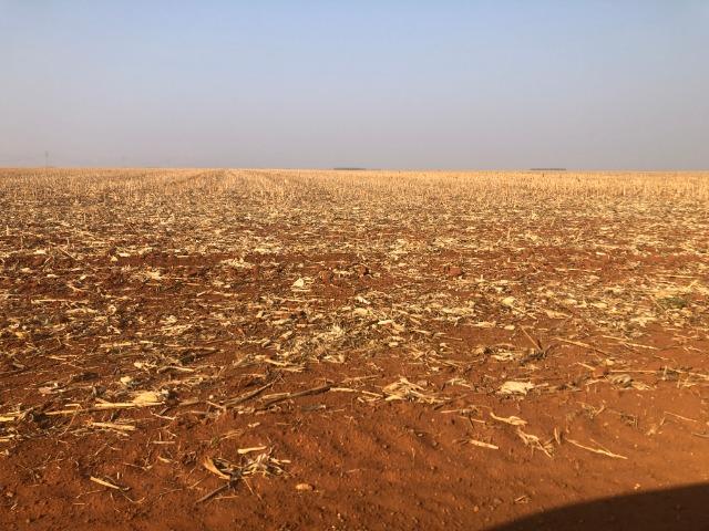 800 Hectares, argilosa acima 40%, planta soja, algodão, milho, Diamantino-MT