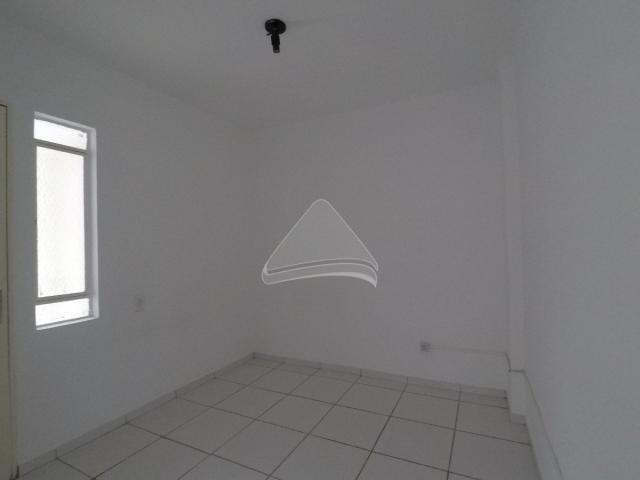 Apartamento para alugar com 3 dormitórios em Centro, Passo fundo cod:8291 - Foto 11
