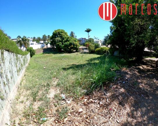 Terreno com 1.000 m² na Aldeia da Praia. - Foto 4