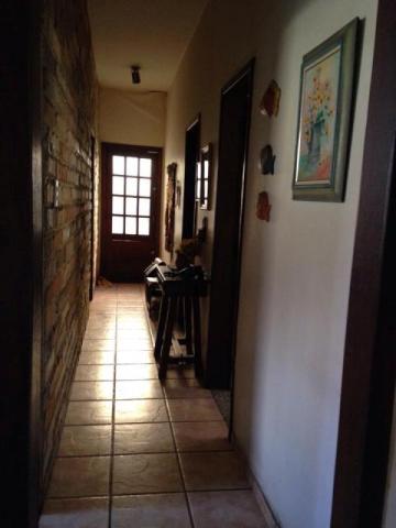 Casa à venda com 3 dormitórios em Padre eustáquio, Belo horizonte cod:2289 - Foto 3