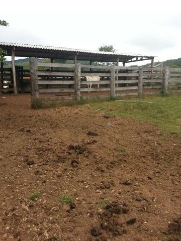 Fazenda com 806 hectares na Agrovila das Palmeiras a 130 km de Cuiabá - Foto 16