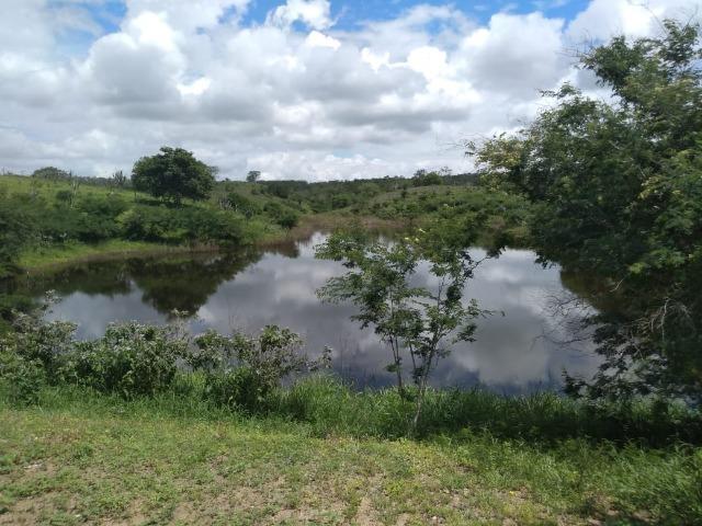 Maravilhosa fazenda na região rural de Baixa Grande Bahia, a 150 km de Feira de Santana - Foto 9