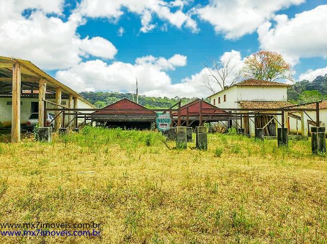 Fazenda mista de cacau e gado. Área de 203 Hectares - Foto 9