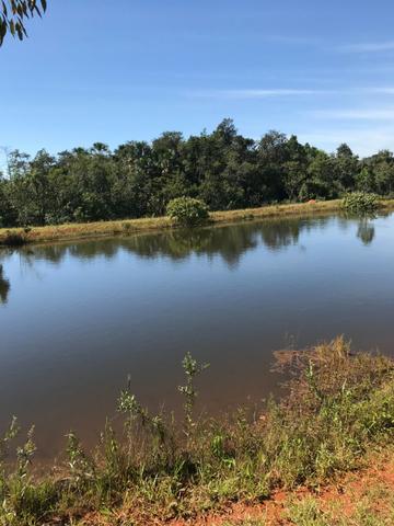 Fazenda 16.5 Alqueires ( 80 ha) Aragoiânia-GO - Foto 9