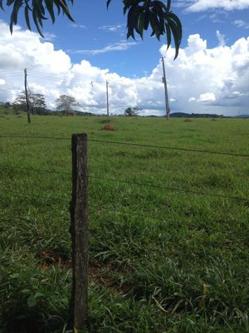 Fazenda 15 alqueires município goianira - Foto 4