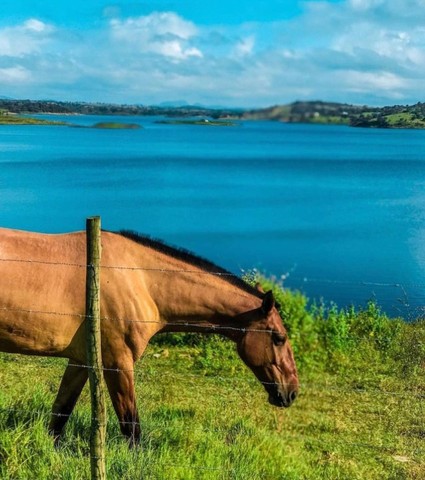 Locação de Casa de campo no Lago Pedra do Cavalo em São Gonçalo dos Campos-Ba 