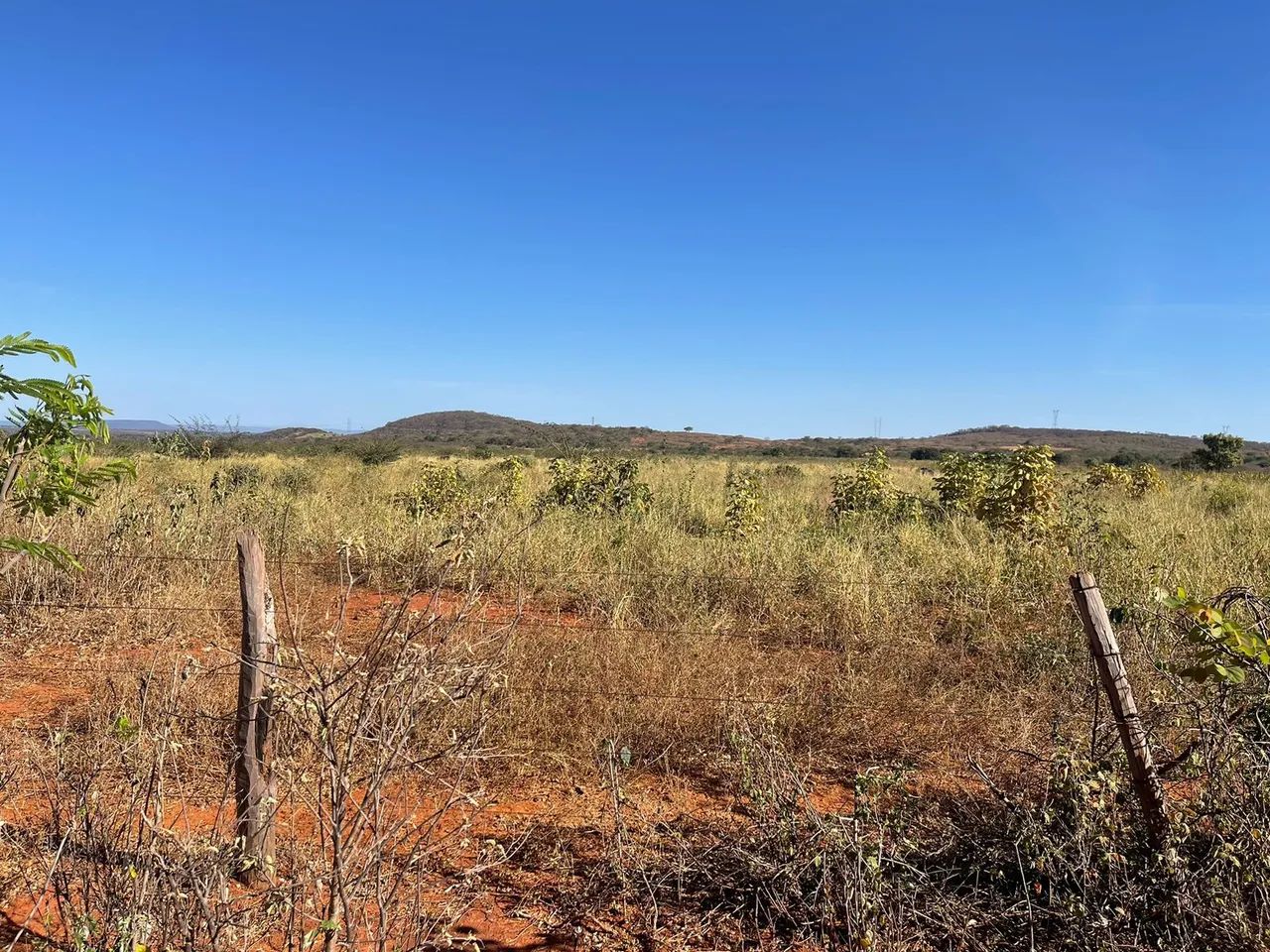 Area 240 Hecatres!! Escriturada e Geo Referenciada!!!Aceita veiculo e Imovel... - Foto 12