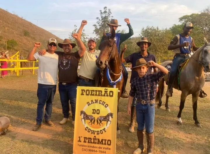 Cavalo de pista oportunidade - Foto 4