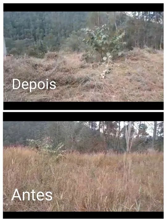 Limpeza de terrenos e lotes - Foto 3