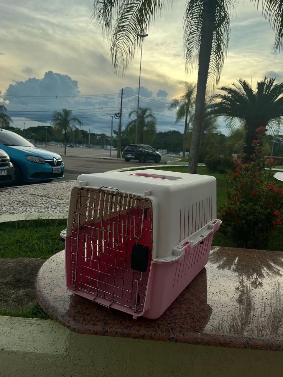 Vendo Casa de Transporte de Animais  - Foto 5