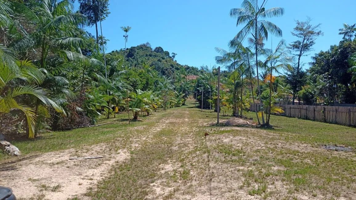 Igarapé