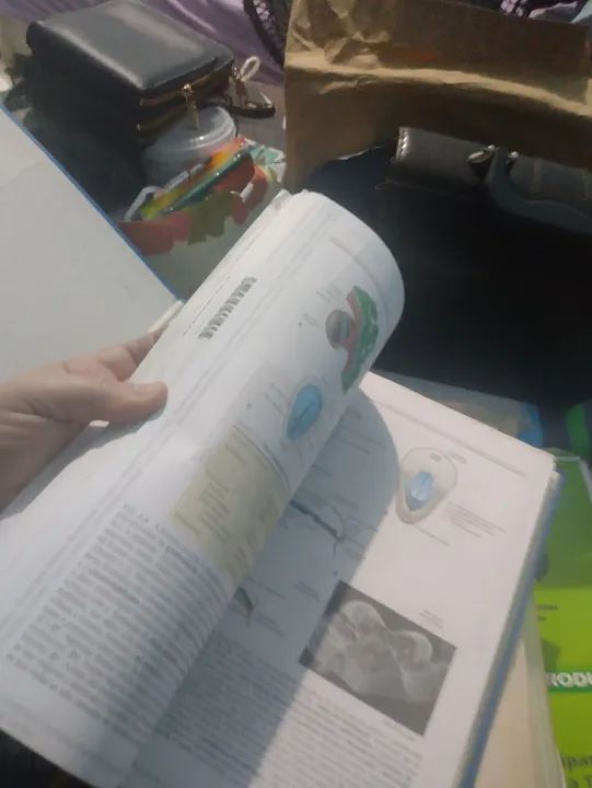 Apostilas Nutrição - Unidade - Foto 2