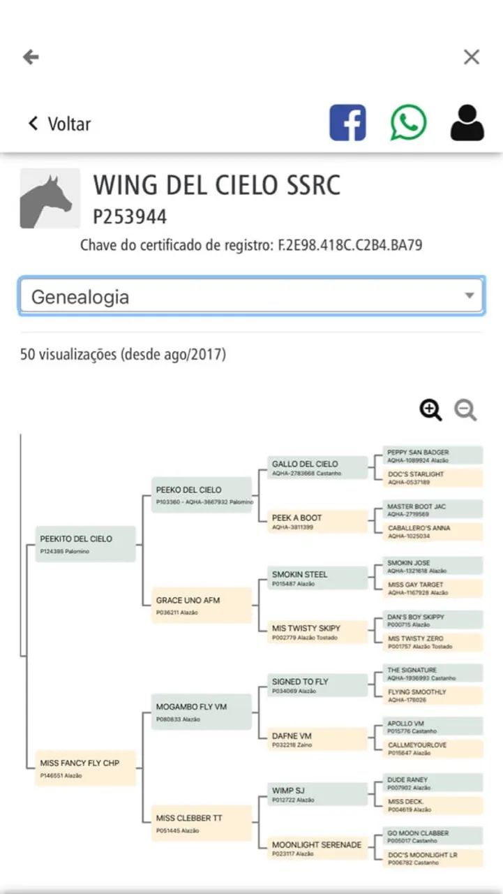 Cavalo Quarto de Milha - Wing Del Cielo SSRC