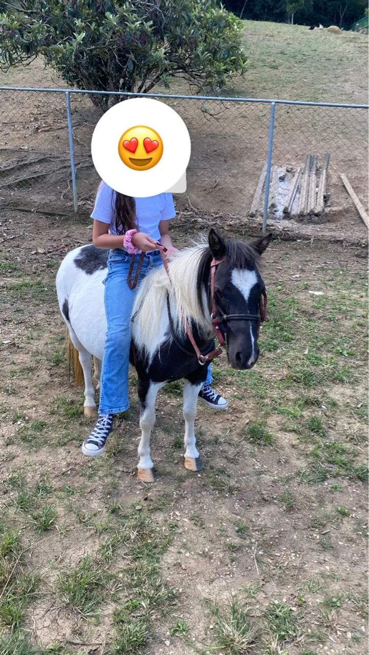 Linda Ponei 92 fêmea 