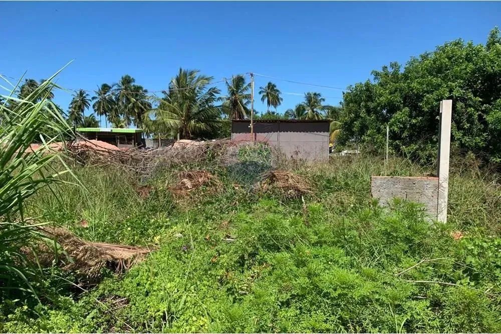 No Paraíso de Tatuamunha tem umTerreno esperando por você! - Foto 9