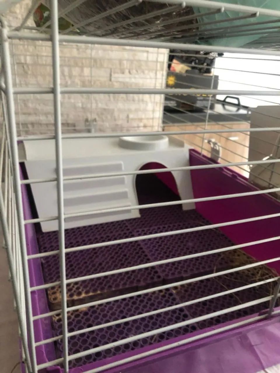 Gaiola porquinho da Índia Usada - Foto 2