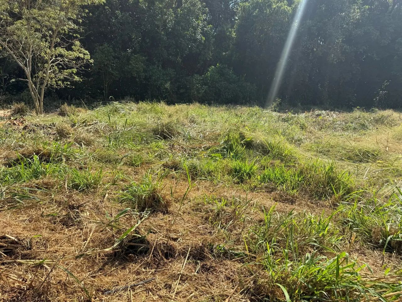 Terreno rural em Pará de Minas  - Foto 5