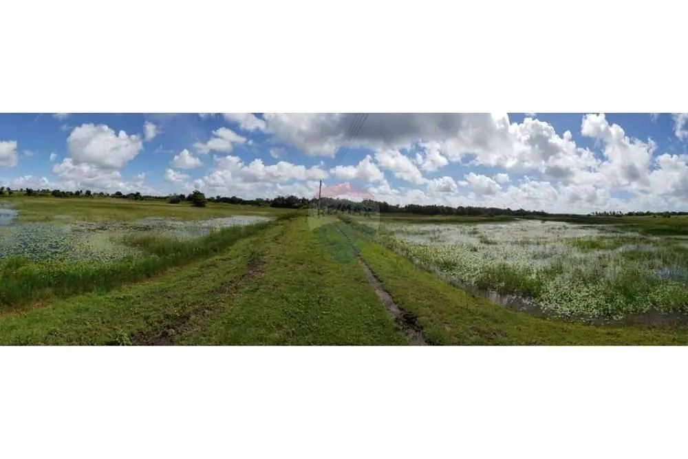 TERRENO (Fazenda em Piaçabuçu, AL - 687 ha)