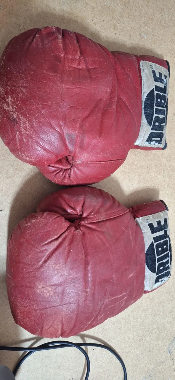 Luvas de Boxe Drible 6 Onças- Usadas