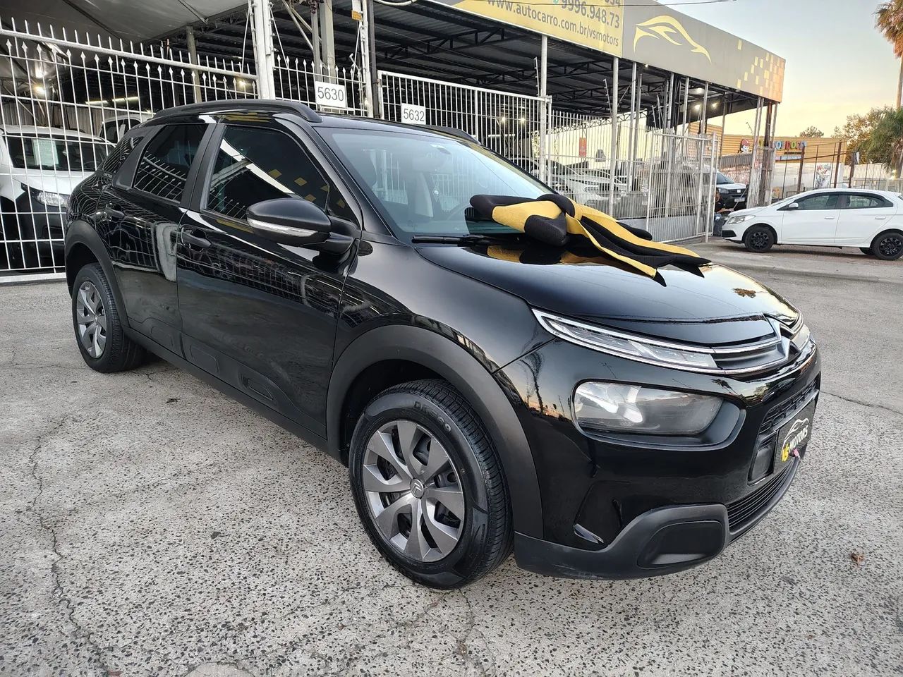 Citroën C4 Cactus Live 1.6 16V Flex AUT 2022 2022